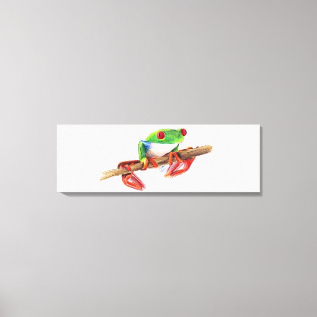 Toile Rainette arboricole grenouille arboricole illustra (Recto)