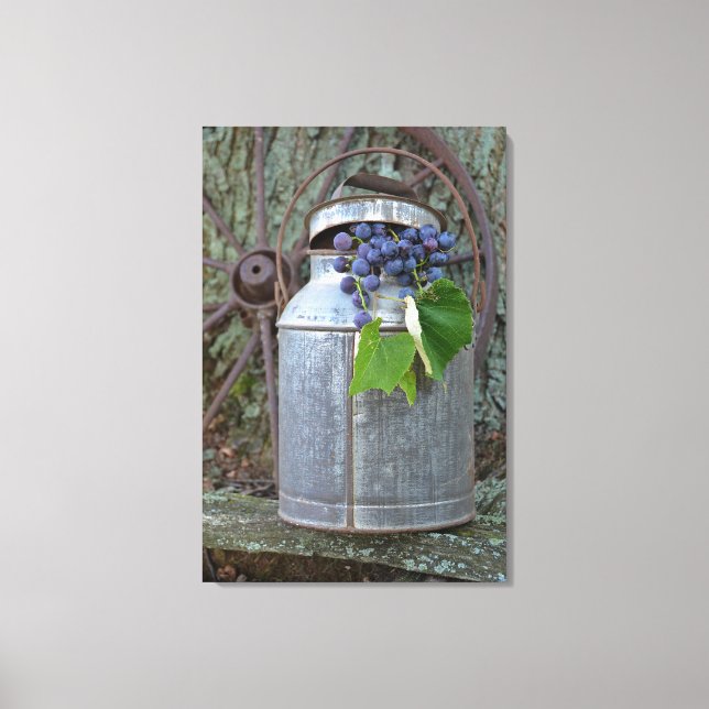 Toile Raisins de concorde en boîte antique (Recto)