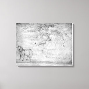 Toile RAM et tête d'une RAM