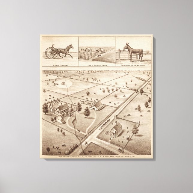 Toile Ranch Oakdale (Recto)