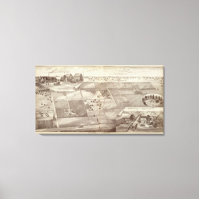 Toile ranch Paige & Morton (Recto)