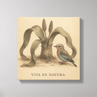 Toile Rare Roller Botanique & Welwitschia Art Vintage