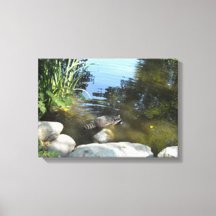 Toile Raton laveur dans le ruisseau