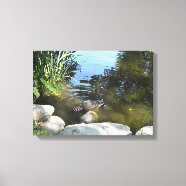 Toile Raton laveur dans le ruisseau (Recto)