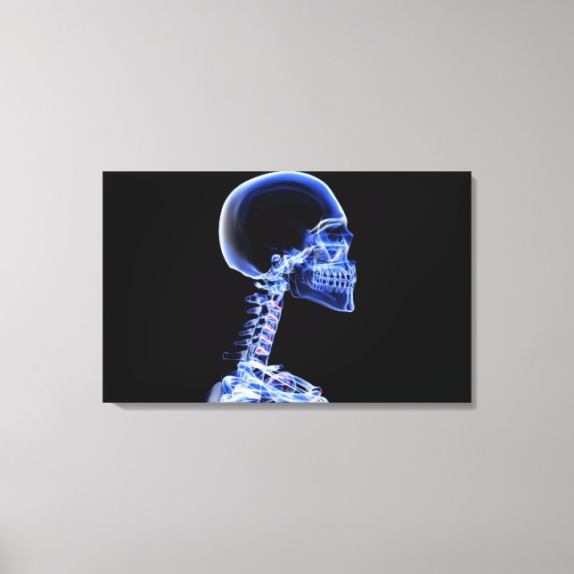 Toile Rayon X des os dans le cou (Recto)