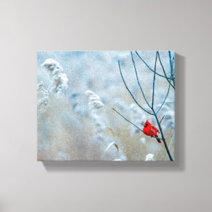 Toile Red Cardinal dans Winter Nature Photo de Christmas