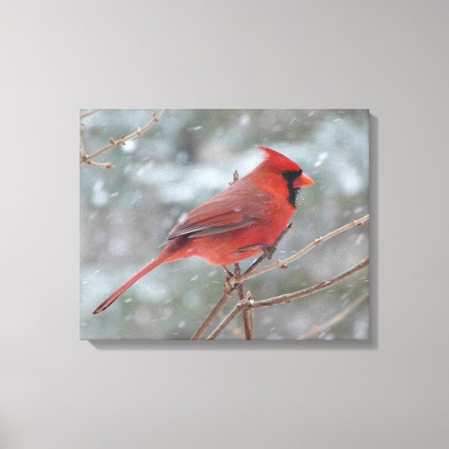 Toile Red cardinal en hiver (Recto)