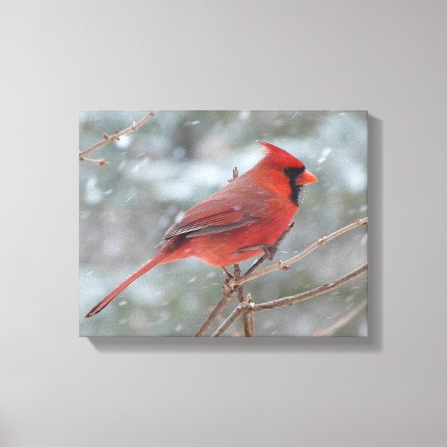 Toile Red cardinal en hiver (Recto)