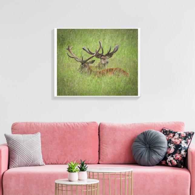 Toile Red Deer au repos en haute herbe (Insitu(Salon))