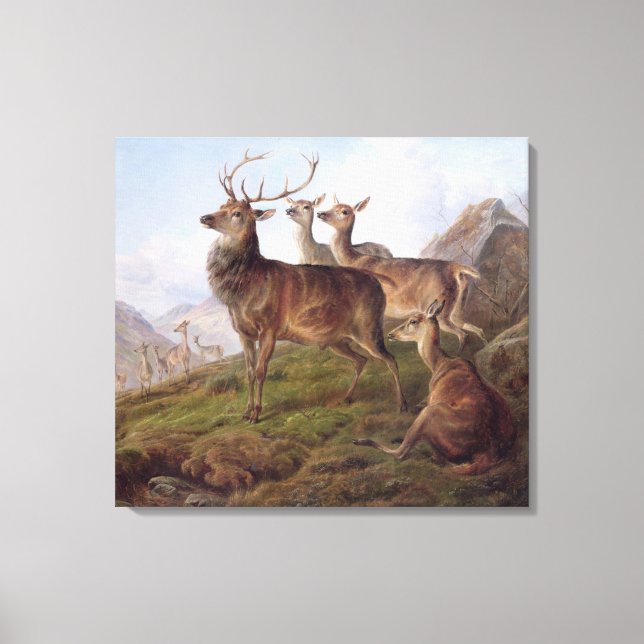 Toile Red Deer dans un paysage des Highlands, 1872 (huil (Recto)