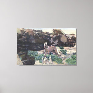 Toile Red Desert, WY - Stallion Palomino sauvage capturé