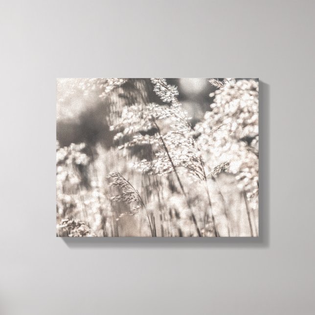Toile Reed Nature Photo (Recto)