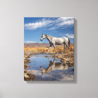 Reflet d'étang de désert de cheval blanc Art