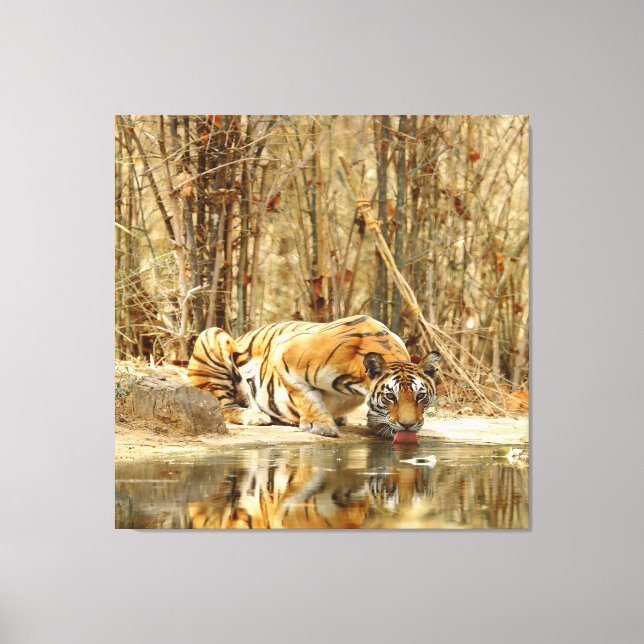 Toile Réflexion du tigre (Recto)