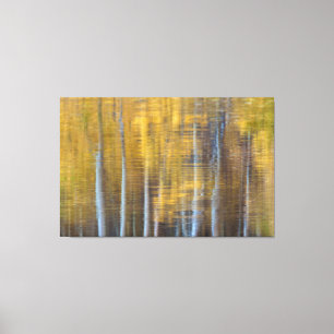 Toile Réflexions d'Aspen