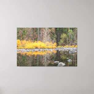 Toile Réflexions sur les couleurs automne