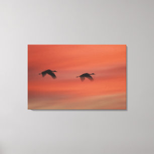 Toile Refuge faunique de Bosque del Apache Nouveau-Mex
