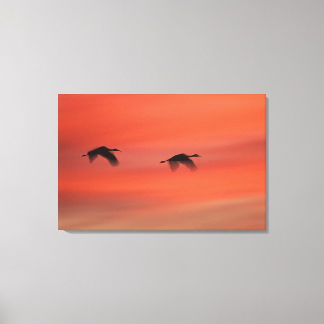 Toile Refuge faunique de Bosque del Apache | Nouveau-Mex (Recto)
