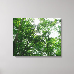 Toile Regard sur les arbres d'été