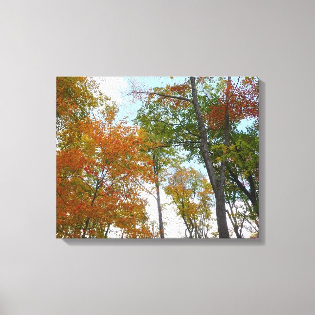 Toile Regard sur les feuilles d'automne I Colorful Fall  (Recto)