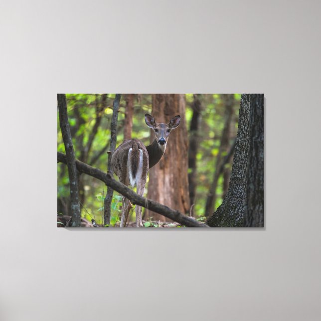 Toile Regarder le passé (Recto)