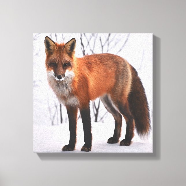 Toile Renard rouge en hiver (Recto)