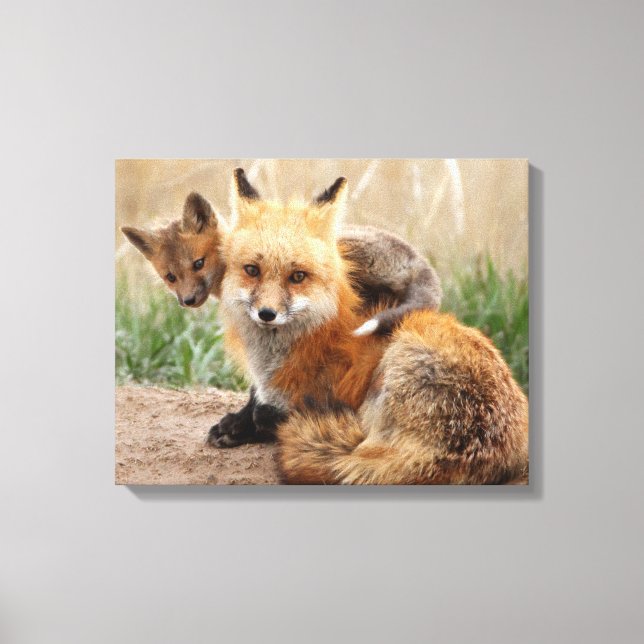 Toile Renard Rouge Et Bébé (Recto)