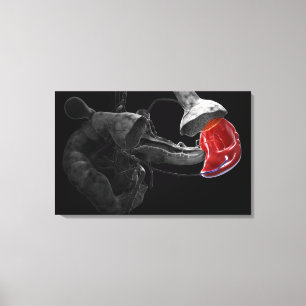Toile Rendu 3d artistique de la rate