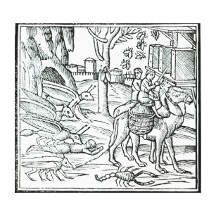 Toile Représentation de la peste, 1572