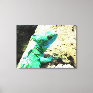 Toile Reptile de lézard de basilic vert
