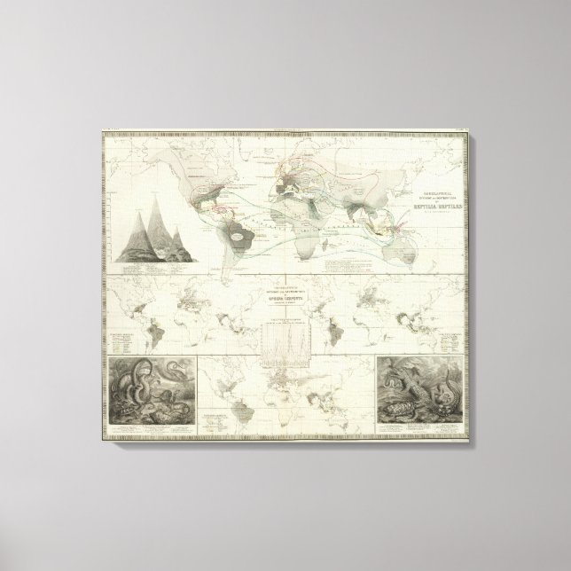 Toile Reptilia, Ophidia (Recto)