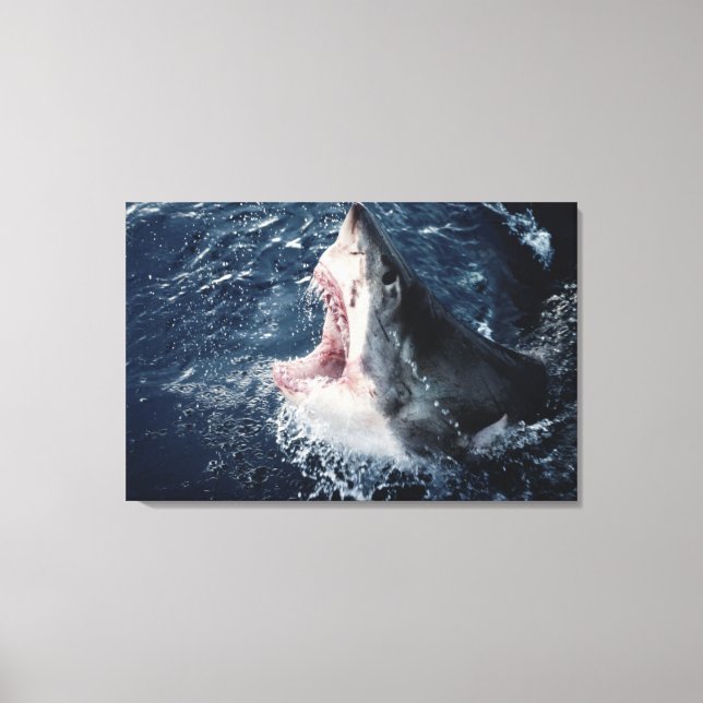 Toile Requin élevé bouche ouverte (Recto)
