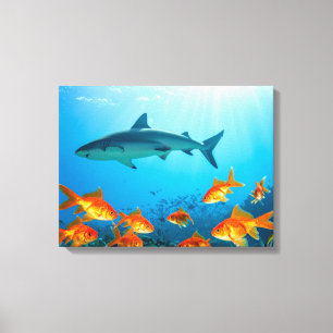Toile Requin parmi poissons rouges