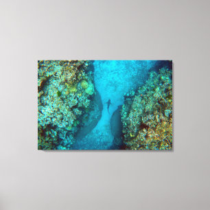 Toile RÉSERVE PACIFIQUE 24x36