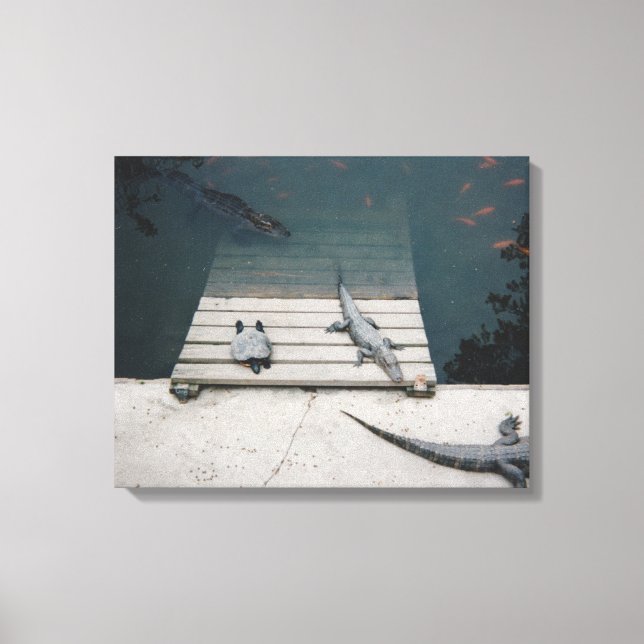 Toile Réservoir de reptiles (Recto)