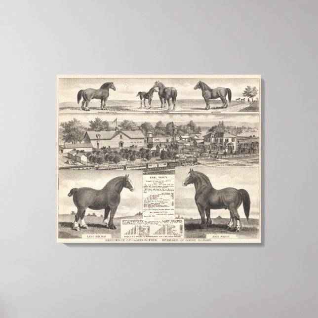 Toile Résidence de James Potter, Junction City, Kansas (Recto)