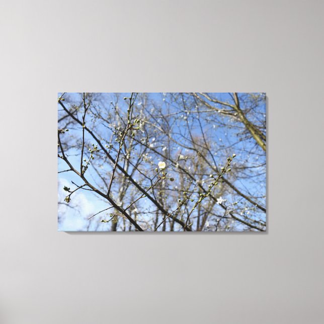 Toile Réveil du printemps (Recto)