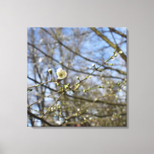 Toile Réveil du printemps