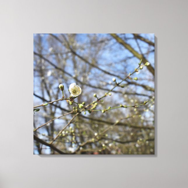 Toile Réveil du printemps (Recto)