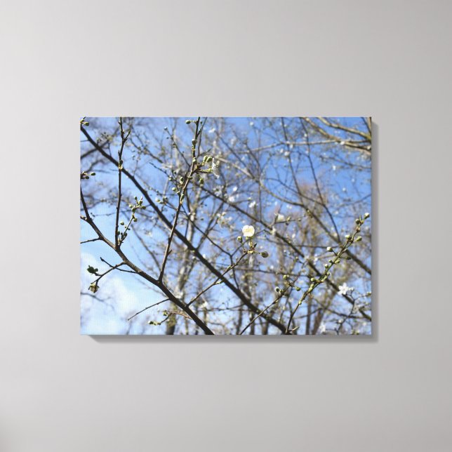 Toile Réveil du printemps (Recto)