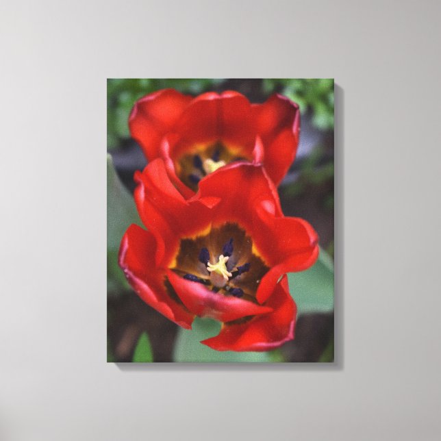 Toile Réveil du printemps, Tulipes (Recto)