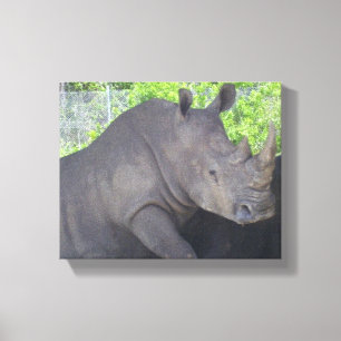 Toile Rhinocéros en milieu boisé