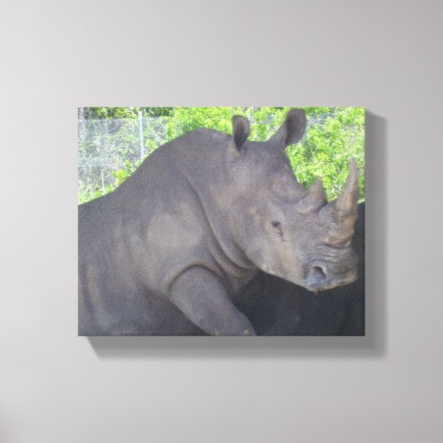 Toile Rhinocéros en milieu boisé (Recto)