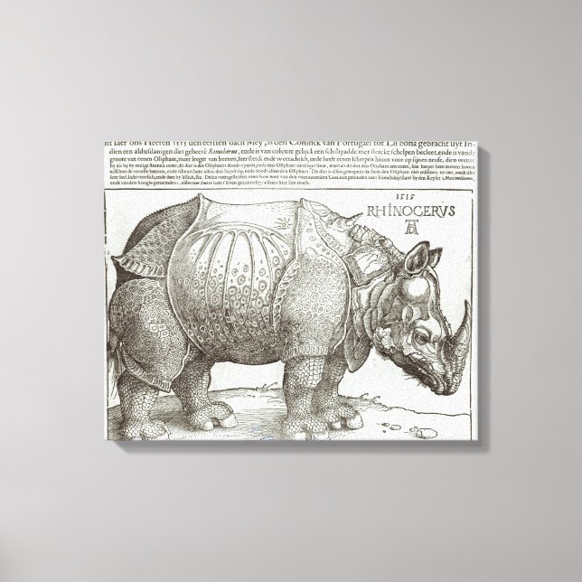 Toile Rhinoceros, imprimé donné à Maximilian I (1459-151 (Recto)