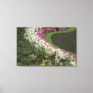 Toile Rhododendron (Rhododendron catawbiense) Lande