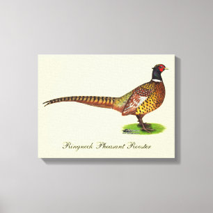 Toile Ringneck Pheasant Rooster