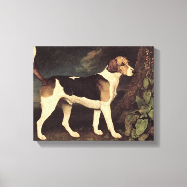 Toile Ringwood, un Brocklesby Foxhound, 1792 (Recto)