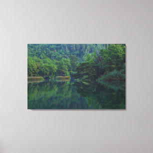 Toile Rivière du matin paisible avec réflexion des arbre