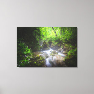 Toile Rivière traversant la forêt verte enchanteresse