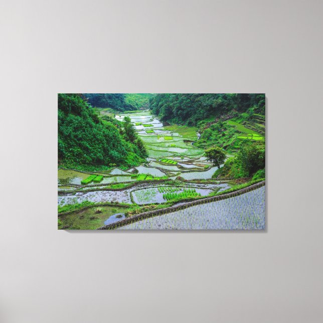 Toile Rizières de Banaue, Luzon (Recto)